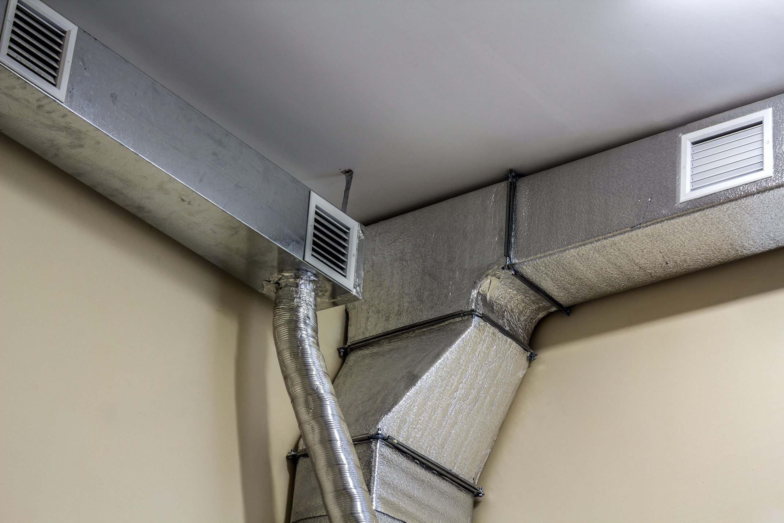 subfloor ventilation - King's Lynn - 4
